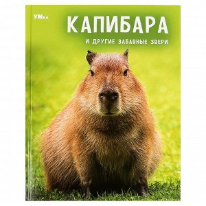 Энциклопедия Умка 197*255, ""Капибара и другие забавные звери"", 48стр.