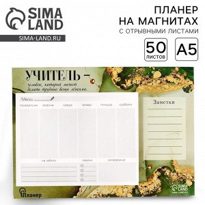 Планинг на магнитах с отрывными листами «Учитель», 50 листов, 19.5x14 см, размер части для заполнения 13x9.5 см
