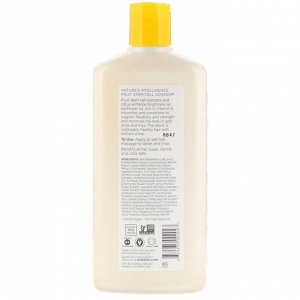 Andalou Naturals, Shampoo, Brilliant Shine, For Strength and Vitality, Sunflower &amp; Citrus, 11.5 fl oz (340 ml)