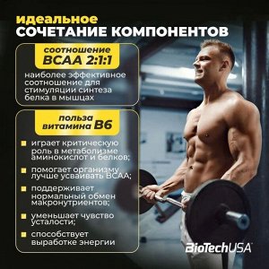 Аминокислоты BCAA BioTechUSA BCAA+B6 1000мг. - 340 таб.