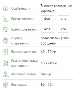 Томат Непасынкующийся оранжевый сердцевидный