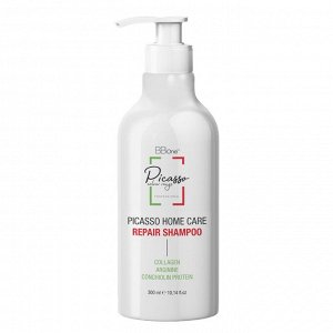 Шампунь Picasso Home Care Repair Shampoo 300 мл                                                    .