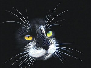 Рисунок на шелке МАТРЕНИН ПОСАД арт.28х34 - 4102 Черный кот