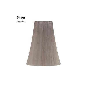 Silver/Серебро 100 мл Corrector                                                                    .