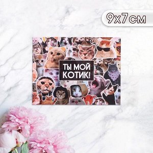 Открытка котики