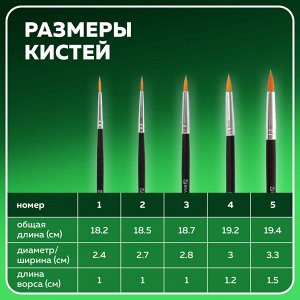 Кисти BRAUBERG, НАБОР 5шт., (синтетическая круглая № 1,2,3,4,5), блистер, 200218
