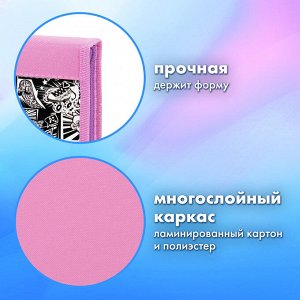 Папка на молнии BRAUBERG А4 с ручкой, с органайзером, 1 отделение, Anime movie, 272216