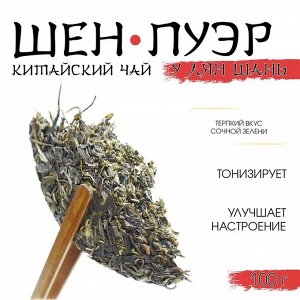 ДЖЕКИЧАЙ Чай зелёный китайский выдержанный «Шен Пуэр.У Лян Шань.Wuliang», Юньнань, 2020 г., блин, 100 г