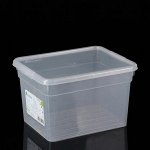 Контейнер для хранения с крышкой FunBoX Basic, 5 л, 25?20?15,5 см, цвет прозрачный