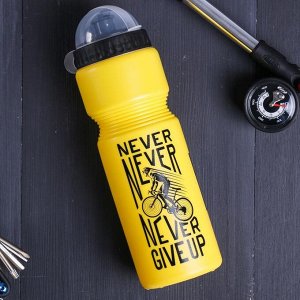 Бутылка для воды "Never give up", 750 мл