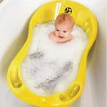 Ванночки и горшки самых красивых цветов