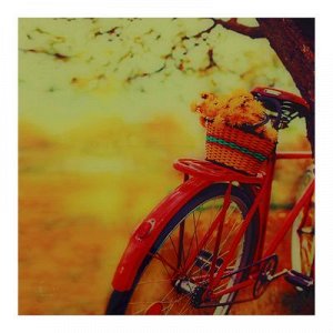 Картина на стекле Велосипед50*50 см