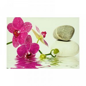 Картина- холст на подрамнике"Орхидея у воды и камней" 50*70см
