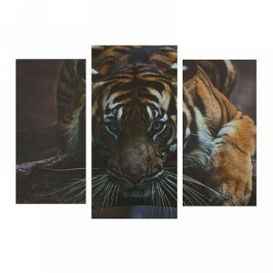 Картина модульная на подрамнике "Тигр" 2шт-25,5*50,5см, 30,5*60см, 60х100 см