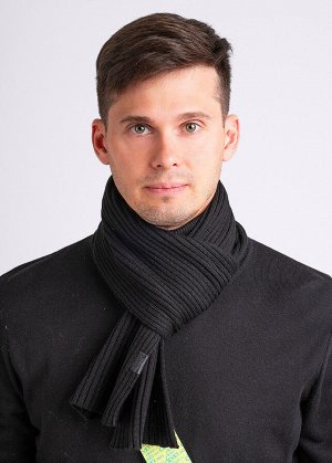 Шарф Артикул поставщика: 433868ак
Состав: 100% акрил
Сезон: Осень, Зима
Год: 2024
Страна: Россия

Шарф мужской , выполнен из мягкой пряжи для комфортной носки