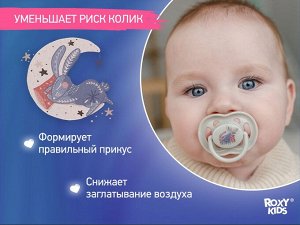Соска-пустышка ортодонтическая SCANDI с футляром, 2 шт, 6-18 мес