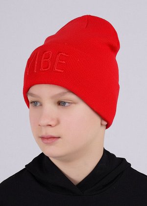 Шапка. Цвет: красный