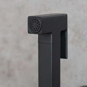 LM7172BL "Соло" Смеситель с гигиеническим душем, встраиваемый, черный