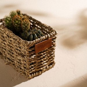 Кашпо SL Home ручного плетения, прямоугольное, солома, 12x8x8,5 см