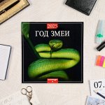 Календарь настенный 2025 год, перекидной на скрепке, 12 листов, 29x29 см