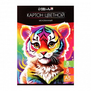 Картон цветной А5, 8 листов, 8 цветов, мелованный 230 г/м2, в папке