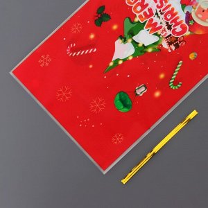 Пакет подарочный новогодний, для сладких подарков "Новогодний МИКС №2" 13x27 см
