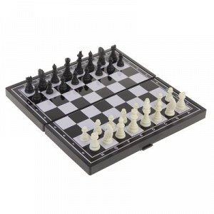 Игра настольная магнитная «Шахматы», чёрно-белые, в коробке, 24.5х24.5 см
