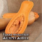 Тыква Жемчужина, мускатная 25,0 г 2027 г.