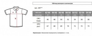 Футболка BRT 20.