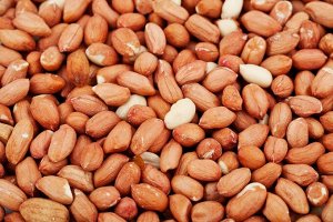 Арахис Белки арахиса характеризуются оптимальным соотношением аминокислот, и поэтому они хорошо усваиваются организмом человека, а жиры находящиеся в нем оказывают легкое желчегонное действие и полезн
