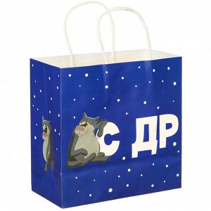 Пакет подарочный «С Др тебя если чо»,22х22х11 см, крафт, упаковка, Жил-был Пес