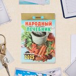 Календарь 2025 отрывной «Народный лечебник» 2025 год, 7.7x11.4 см