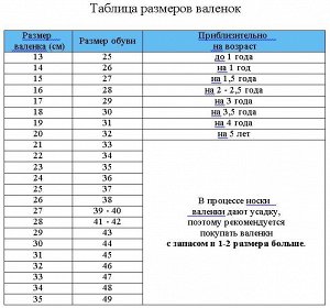 Валенки Дельфин на синем