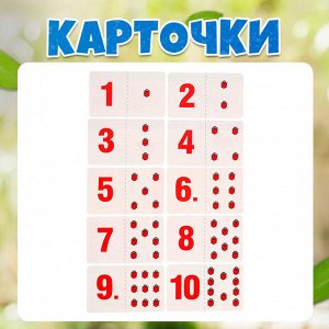 Развивающий набор «Считаем букашек»