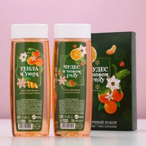 Подарочный набор «Чудес в Новом Году»: гель для душа и пена для ванны, 2x250 мл, Чистое счастье