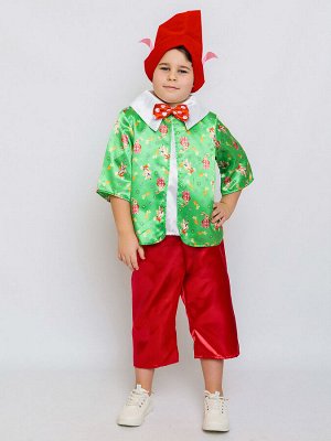 Пуговка Костюм &quot;Гном Вася&quot; 2191 к-24 р.122-64