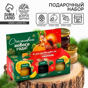 Подарочный набор «Согревайся этой зимой» 2 крем-мёда и варенье с шишками 3x30 г