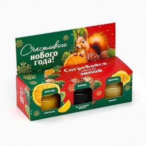 Подарочный набор «Согревайся этой зимой» 2 крем-мёда и варенье с шишками 3x30 г