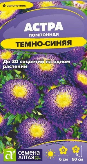 Цветы Астра Помпонная Темно-синяя/Сем Алт/цп 0,2 гр.