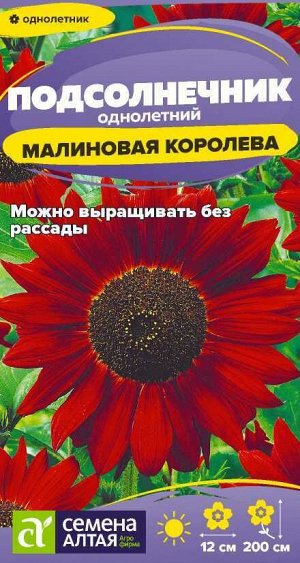 Цветы Подсолнечник Малиновая Королева/Сем Алт/цп 0,3 гр.
