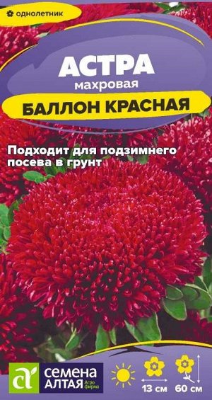 Цветы Астра Баллон Красная/Сем Алт/цп 0,05 гр.