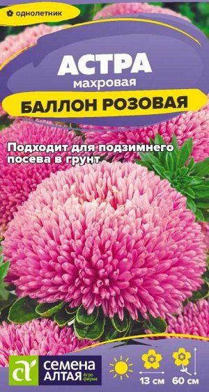 Цветы Астра Баллон Розовая/Сем Алт/цп 0,05 гр.