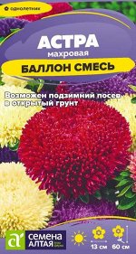 Цветы Астра Баллон Смесь/Сем Алт/цп 0,05 гр.