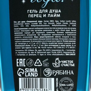 Новый Год. Гель для душа «Удачного года», 250 мл, аромат перца и лайма