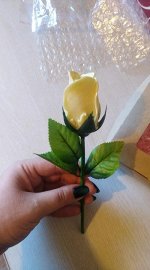 Роза на стебле