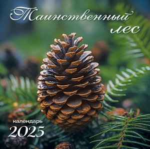 БОЛЬШОЙ перекидной настенный календарь на скрепке на 2025 год "Таинственный лес"