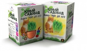 "Юный садовод " арт.404 "Вырасти травку для кота"  Набор для детского творчества