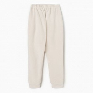 Брюки флисовые мужские спортивные MINAKU: Fleece Soft, бежевые