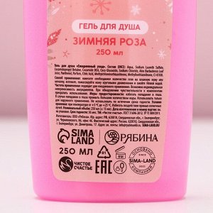 Подарочный набор «С Новым Годом»: гель для душа и шампунь для волос, 2x250 мл, Чистое счастье