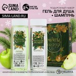 Подарочный набор косметики «Мечты обязательно сбудутся», гель для душа и шампунь для волос, 2 х 250 мл, Новый Год